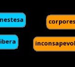 Res Cogitans, Res Extensa: El Dualismo Cartesiano res-cogitans-res-extensa